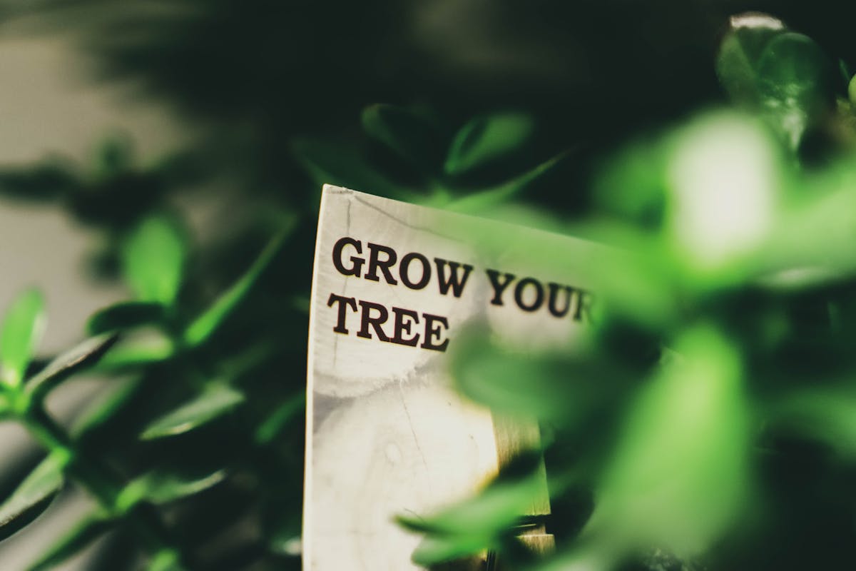 Schenkung zu Lebzeiten – wann sie in Familien finanziell sinnvoll sein kann